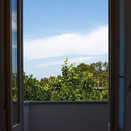 Gasthuis Don Camillo