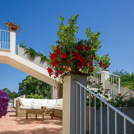 Don Camillo Sant'Agnello